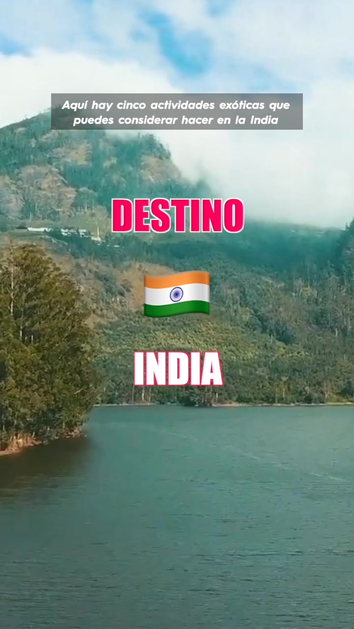 Aquí hay cinco actividades exóticas que puedes considerar hacer en la India  DESTINO  INDIA