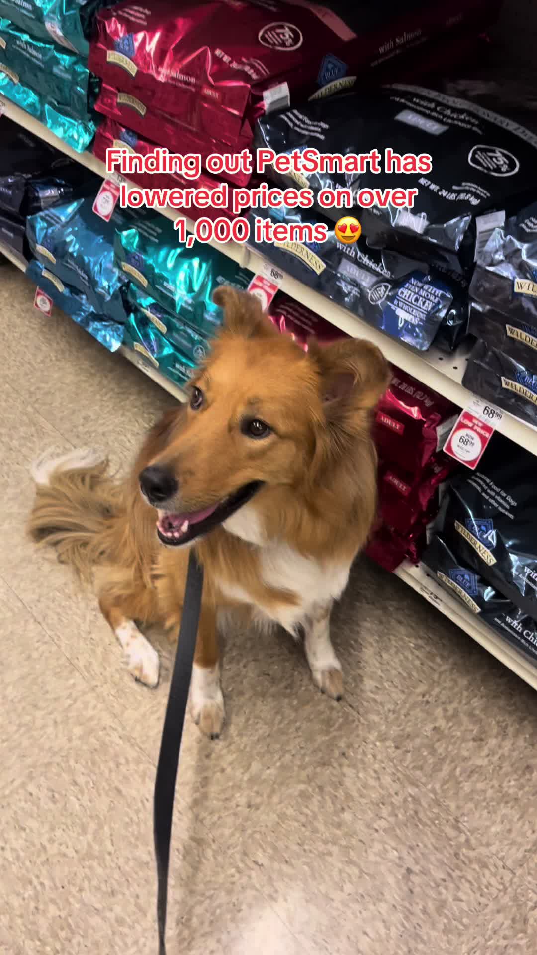 Finding out PetSmart has lowered prices on over 1,000 items 😍