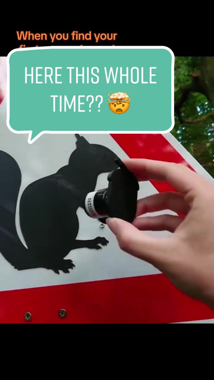 HERE THIS WHOLE TIME?? 😱