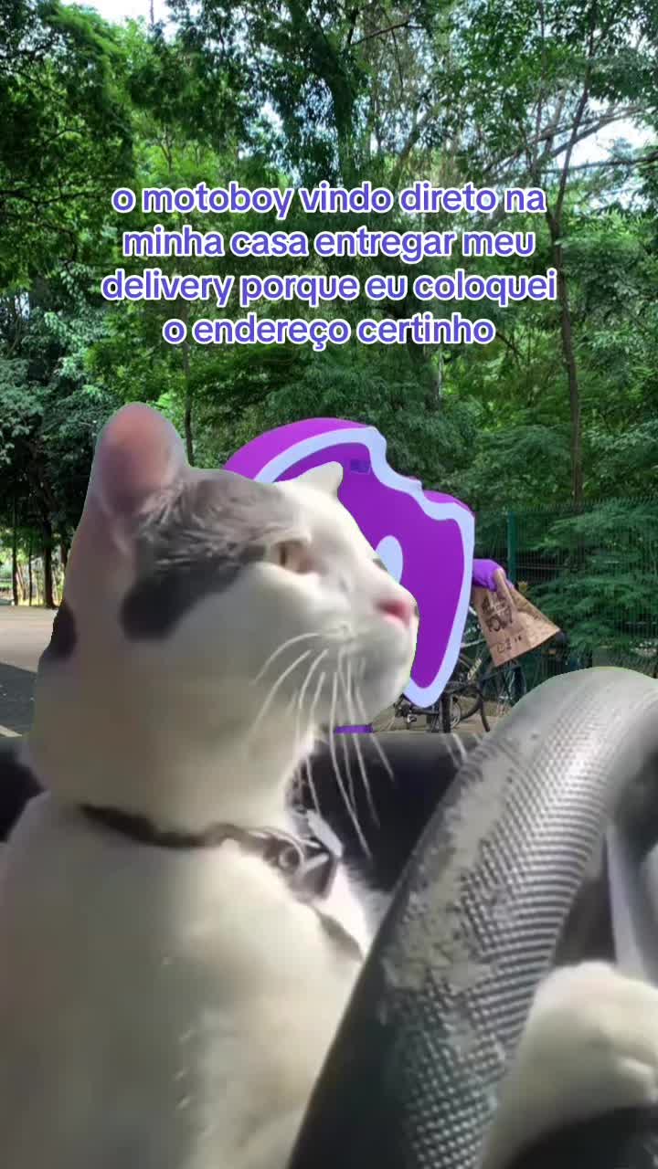 o motoboy vindo direto na minha casa entregar meu delivery porque eu coloquei o endereço certinho