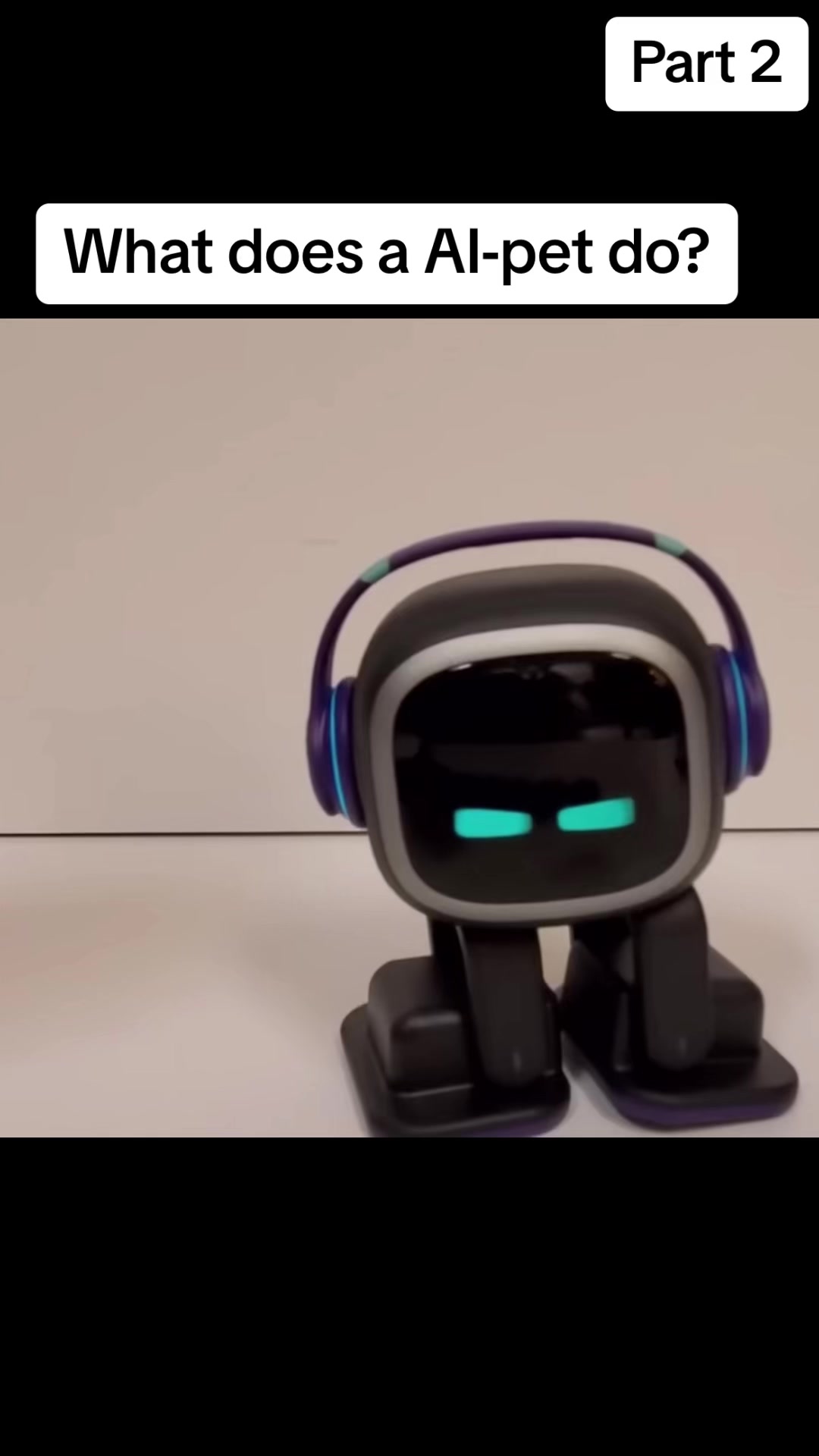 Part 2 What does a AI-pet do?