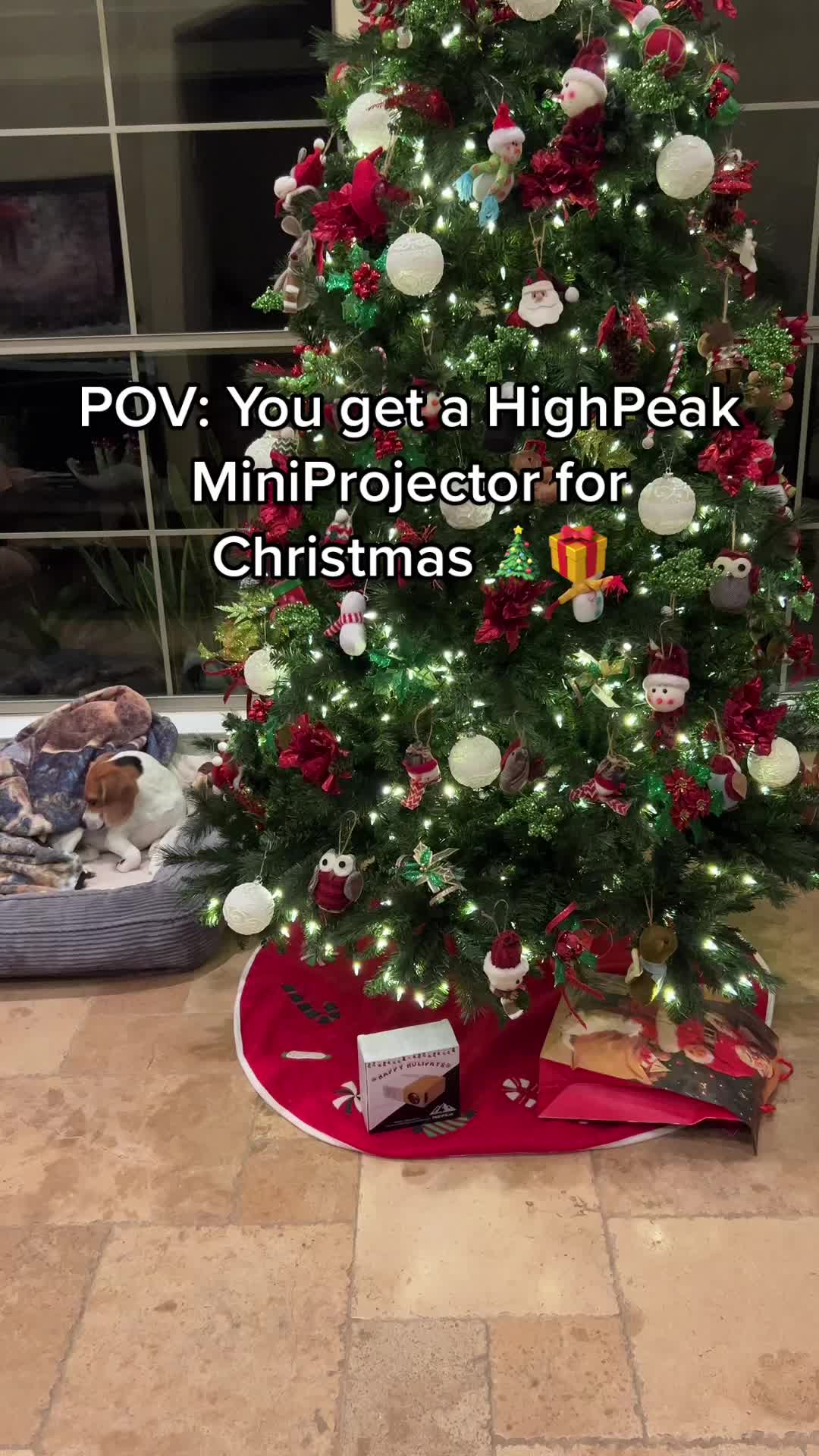 POV: You get a HighPeak MiniProjector for Christmas