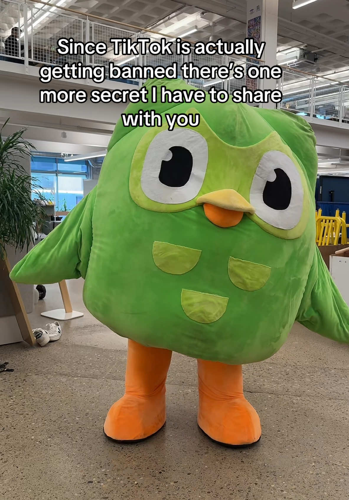 Since TikTok is actually getting banned there's one more secret I have to share with you