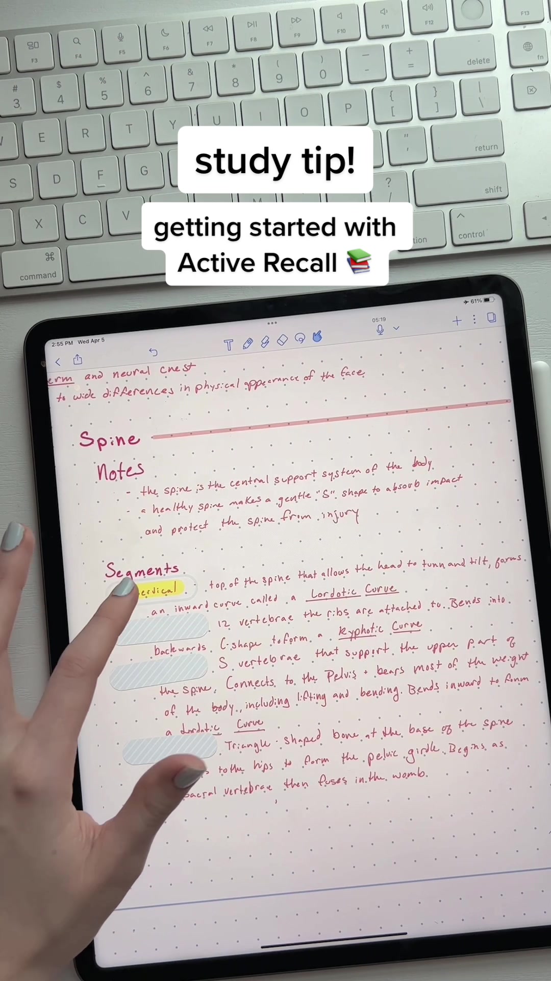 study tip! getting started with Active Recall