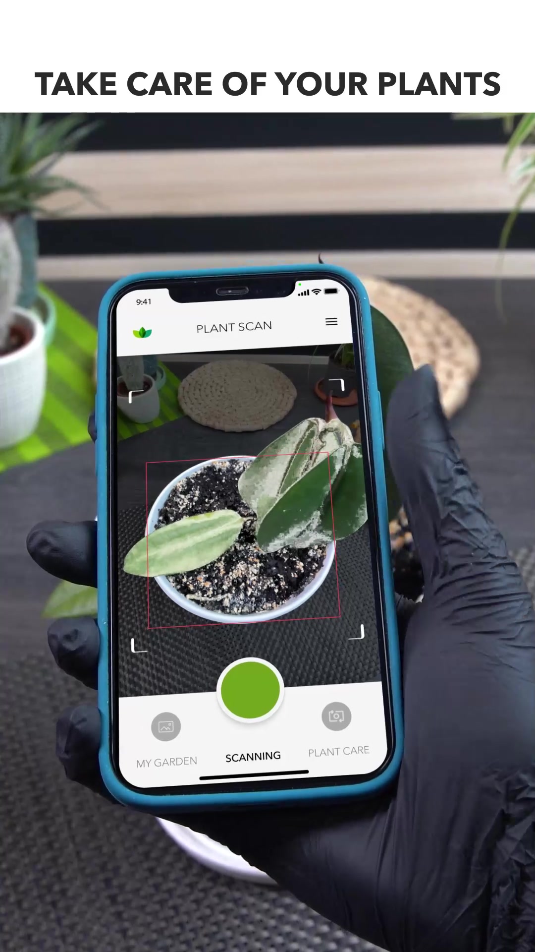 TAKE CARE OF YOUR PLANTS