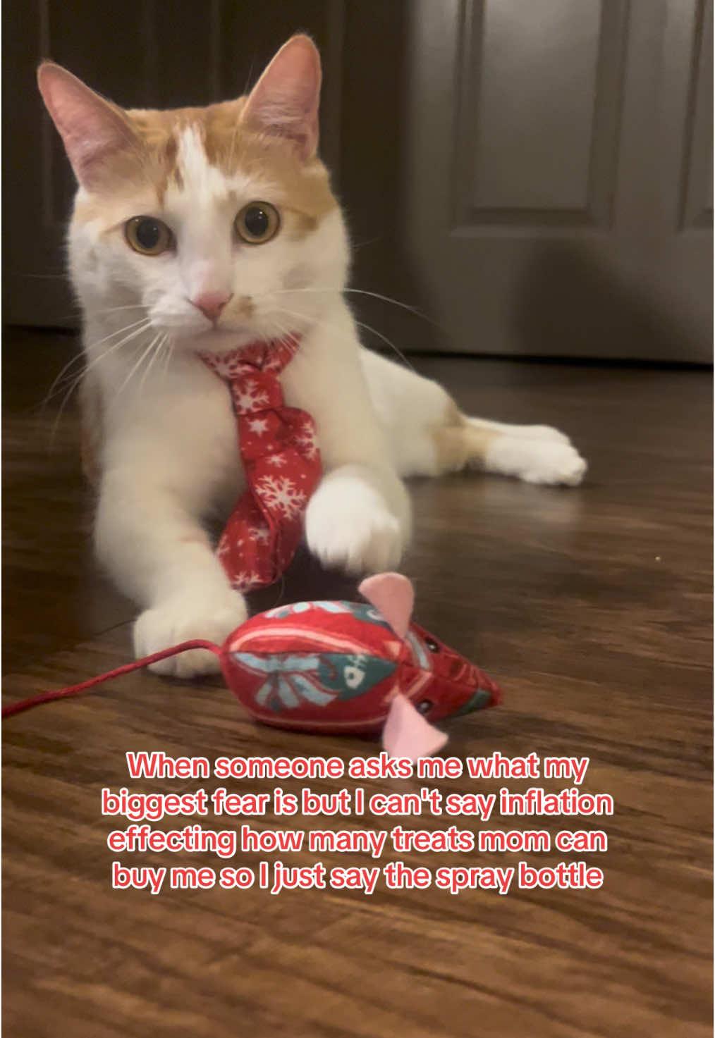 When someone asks me what my biggest fear is but I can't say inflation effecting how many treats mom can buy me so I just say the spray bottle