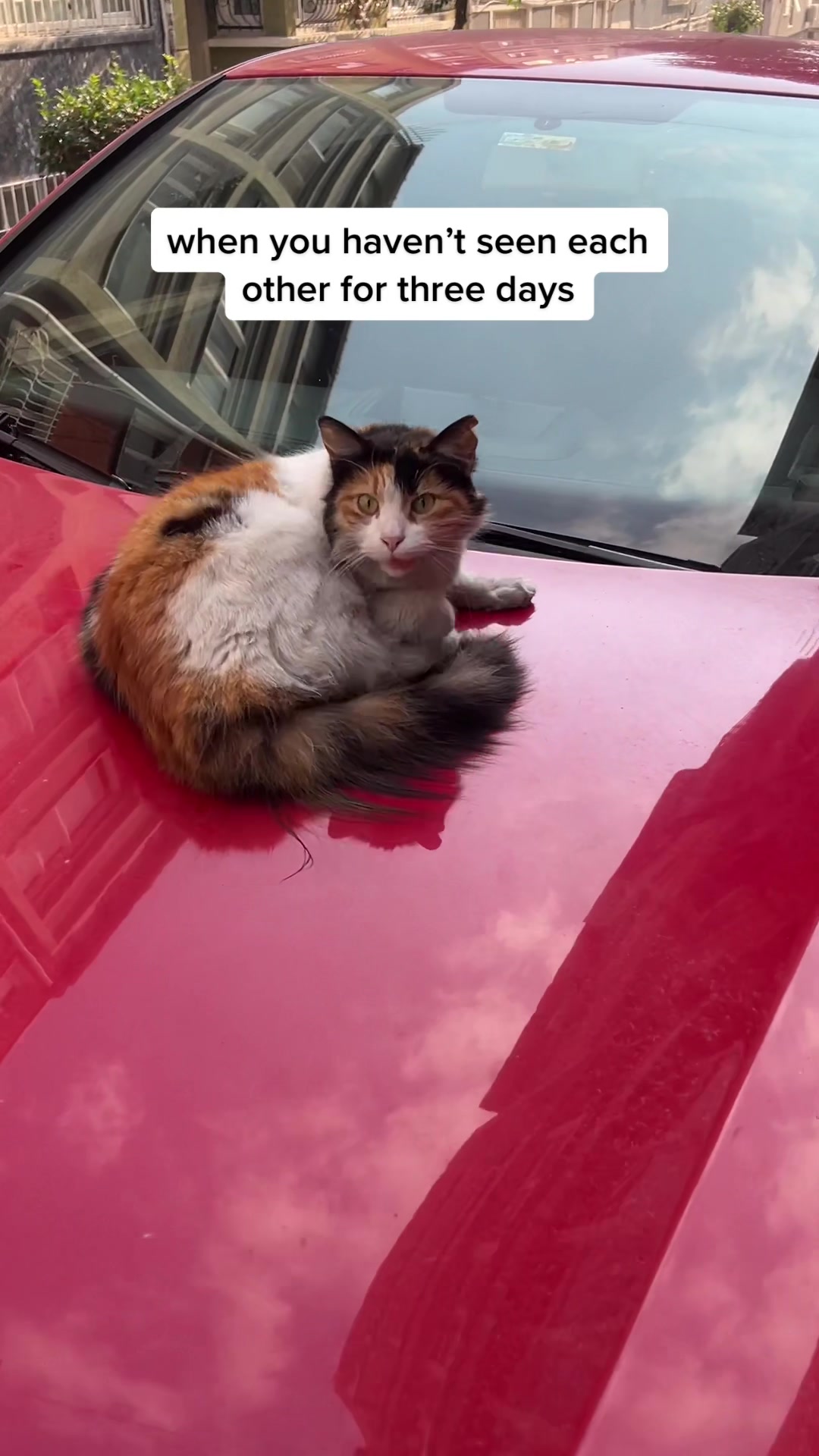 when you haven’t seen each other for three days