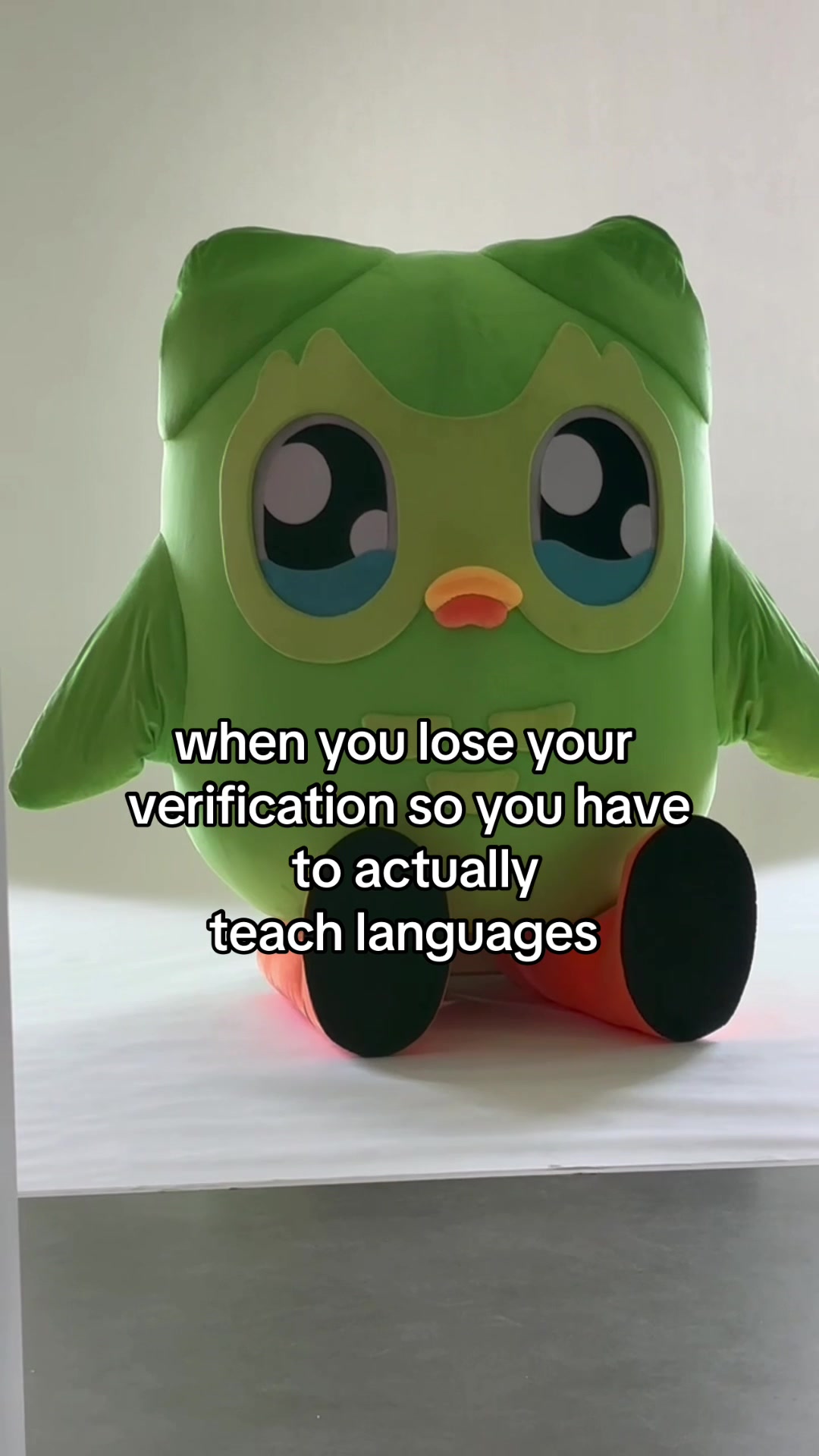 when you lose your verification so you have to actually teach languages
