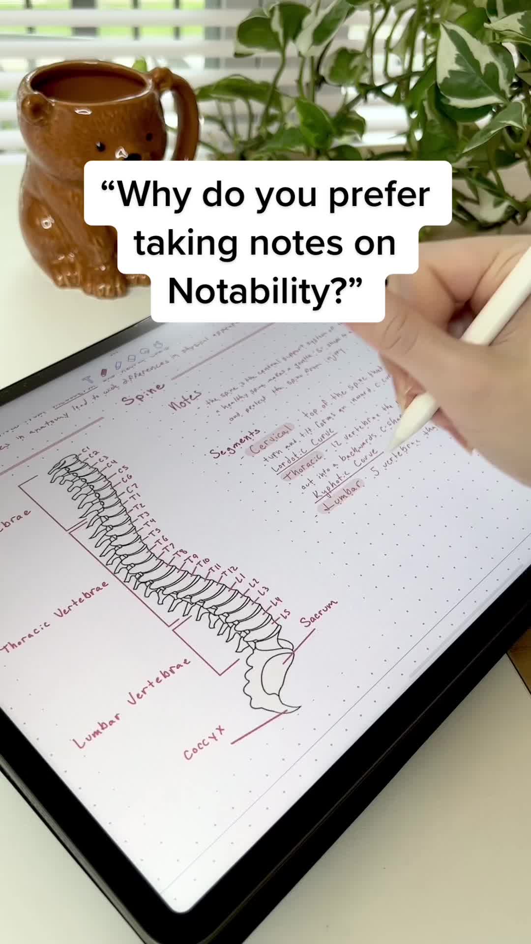 "Why do you prefer taking notes on Notability?"