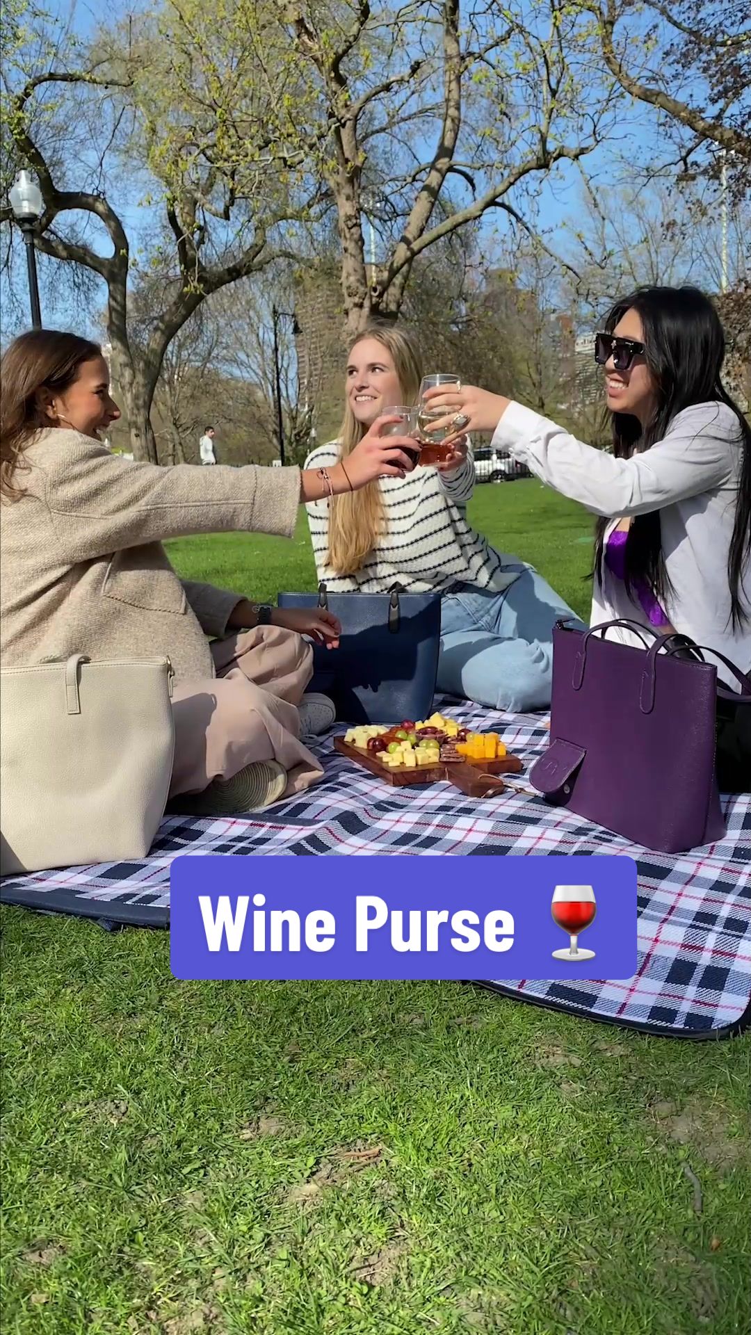 Wine Purse 🍷