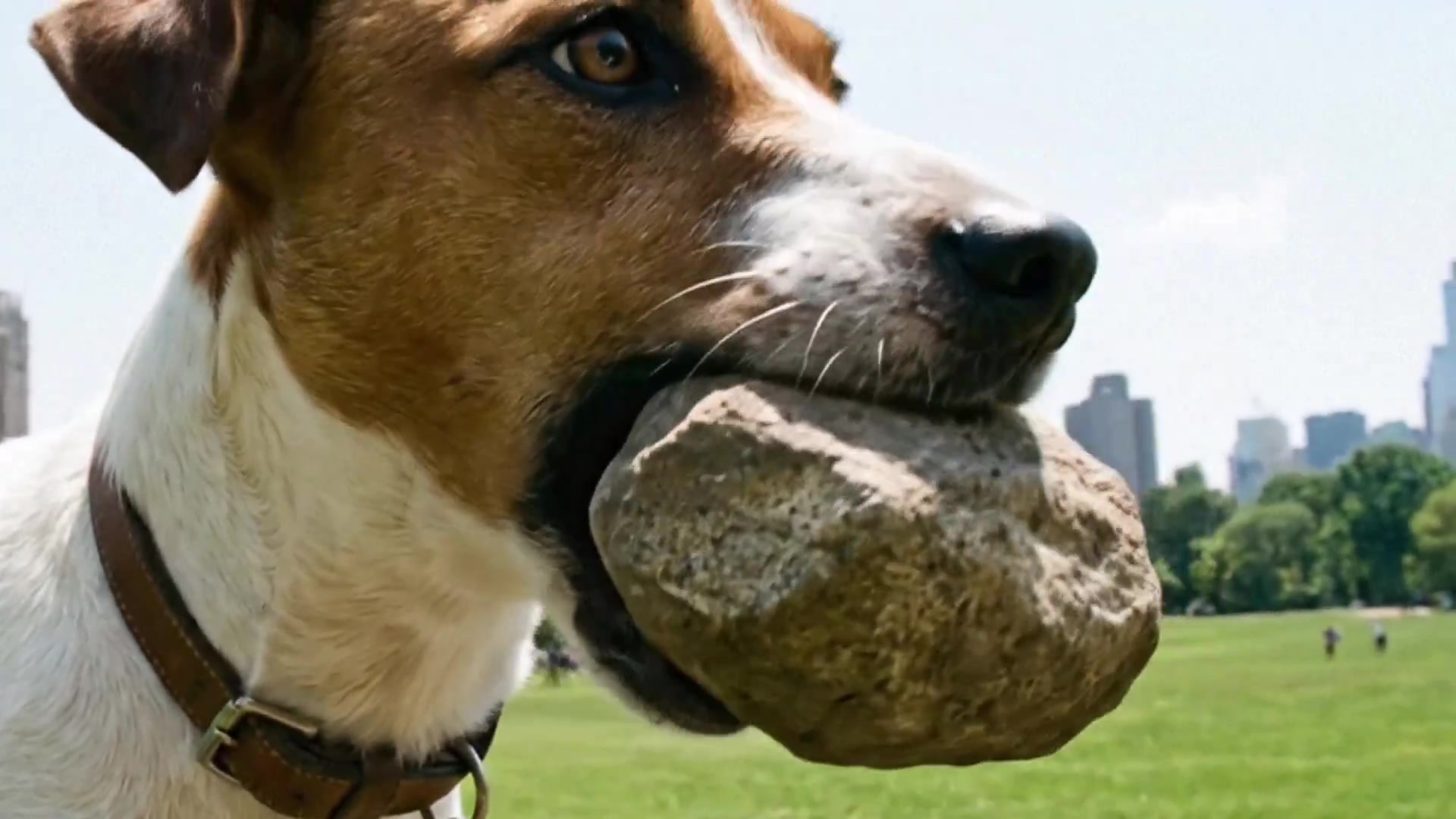A Colossal Canine: Imagination Unleashed in Central Park
