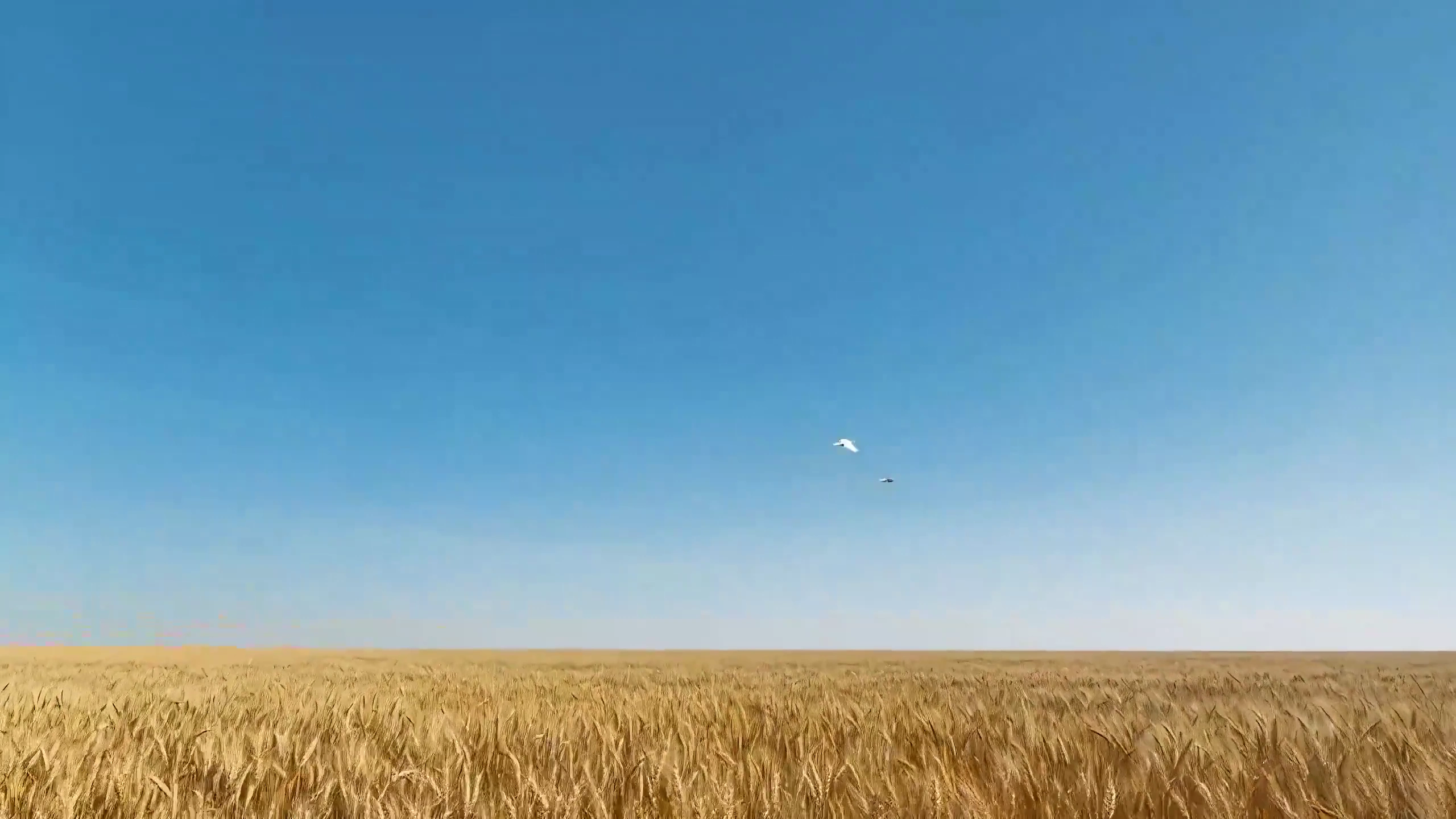 Beyond the Veil: A Surreal Journey into the Unknown