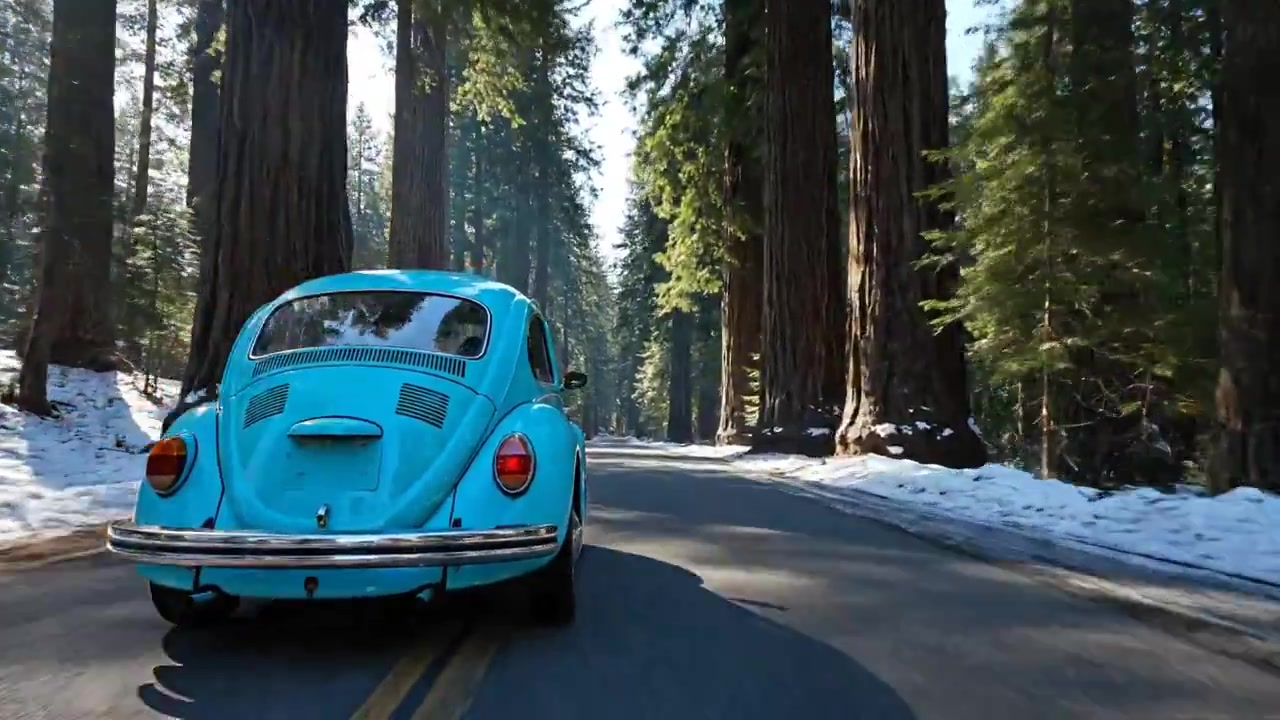 Cinematic Drive Through Redwood Forest