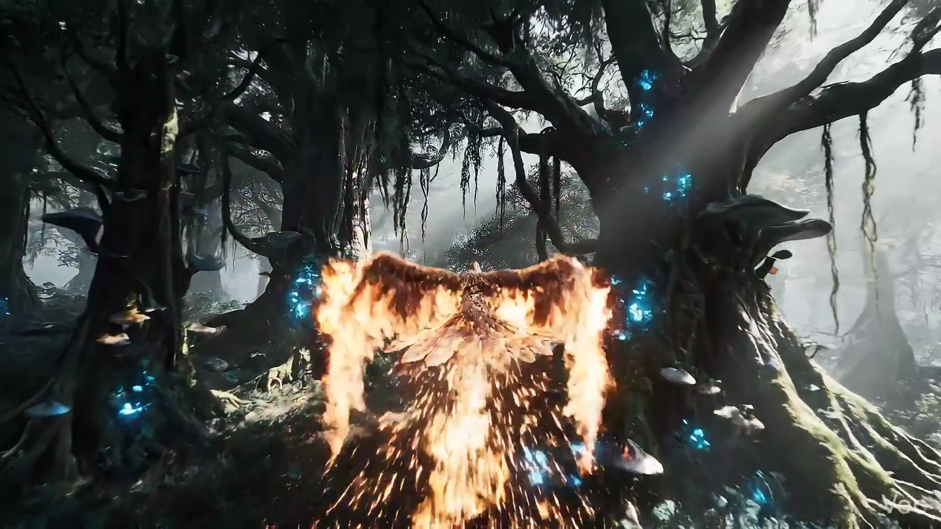 Embers in the Canopy: The Phoenix's Flight