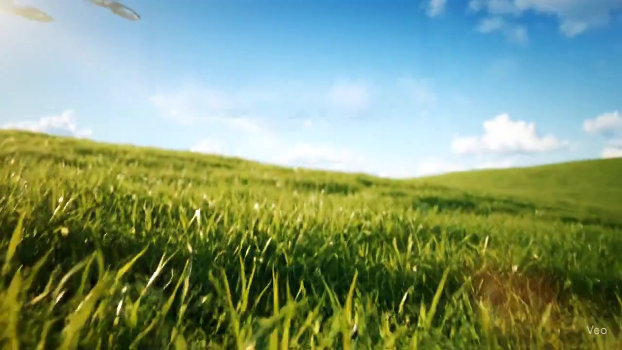 Floating Wonders: The Sky-Fish Phenomenon