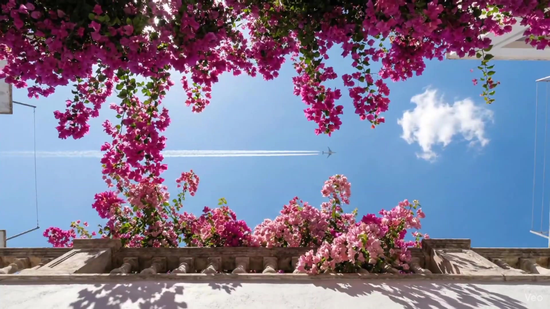 Floral Tunnels: A Skyward Journey