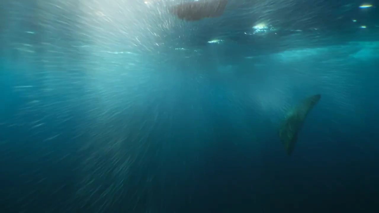 Leviathan's Lair: A Surge Through Ocean Depths