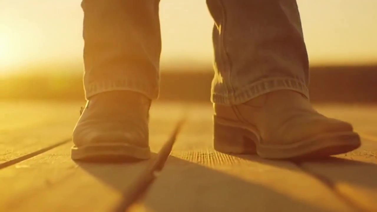 Melodies at Dawn: A Prairie Serenade