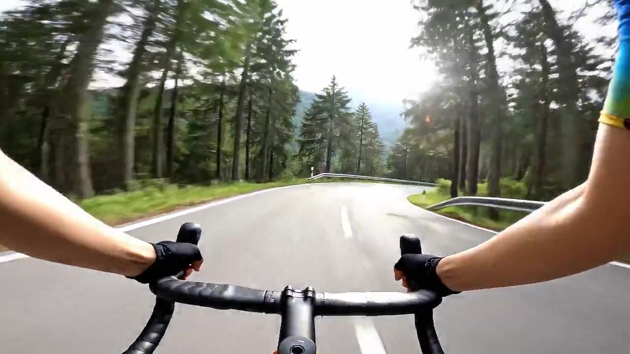 Mountain Rush: Cycling Through Nature's Symphony