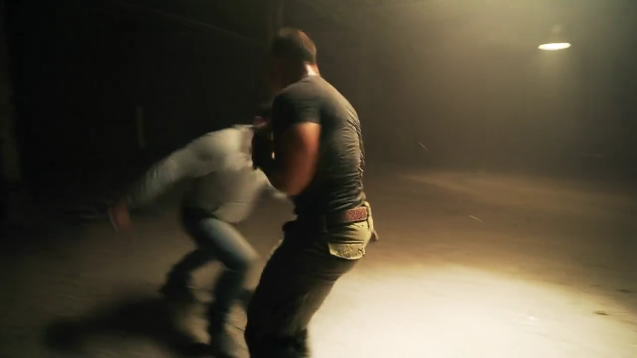 Raw Intensity: Handheld Fight Scene Analysis