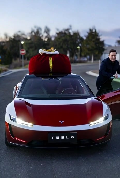 Santa Musk Delivers Holiday Cheer in a Festive Roadster