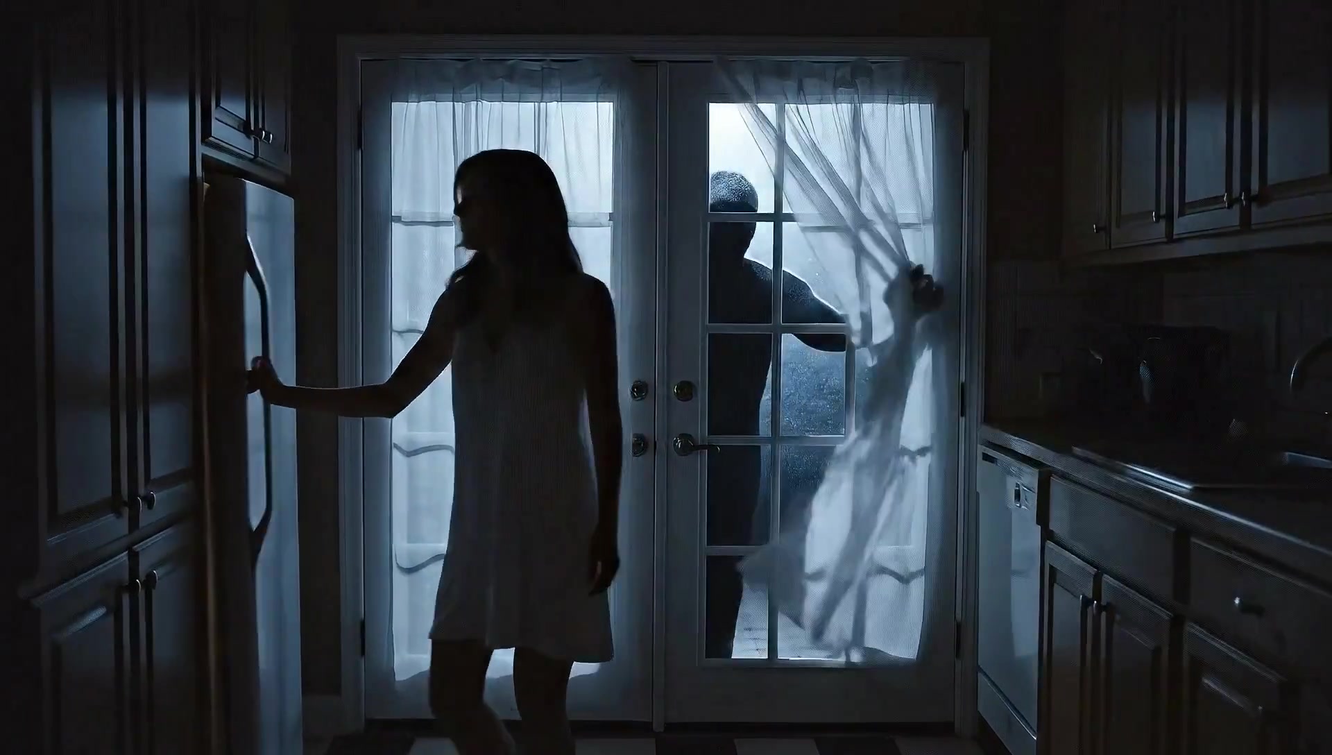 Shadows in the Moonlight: A Silent Horror Encounter