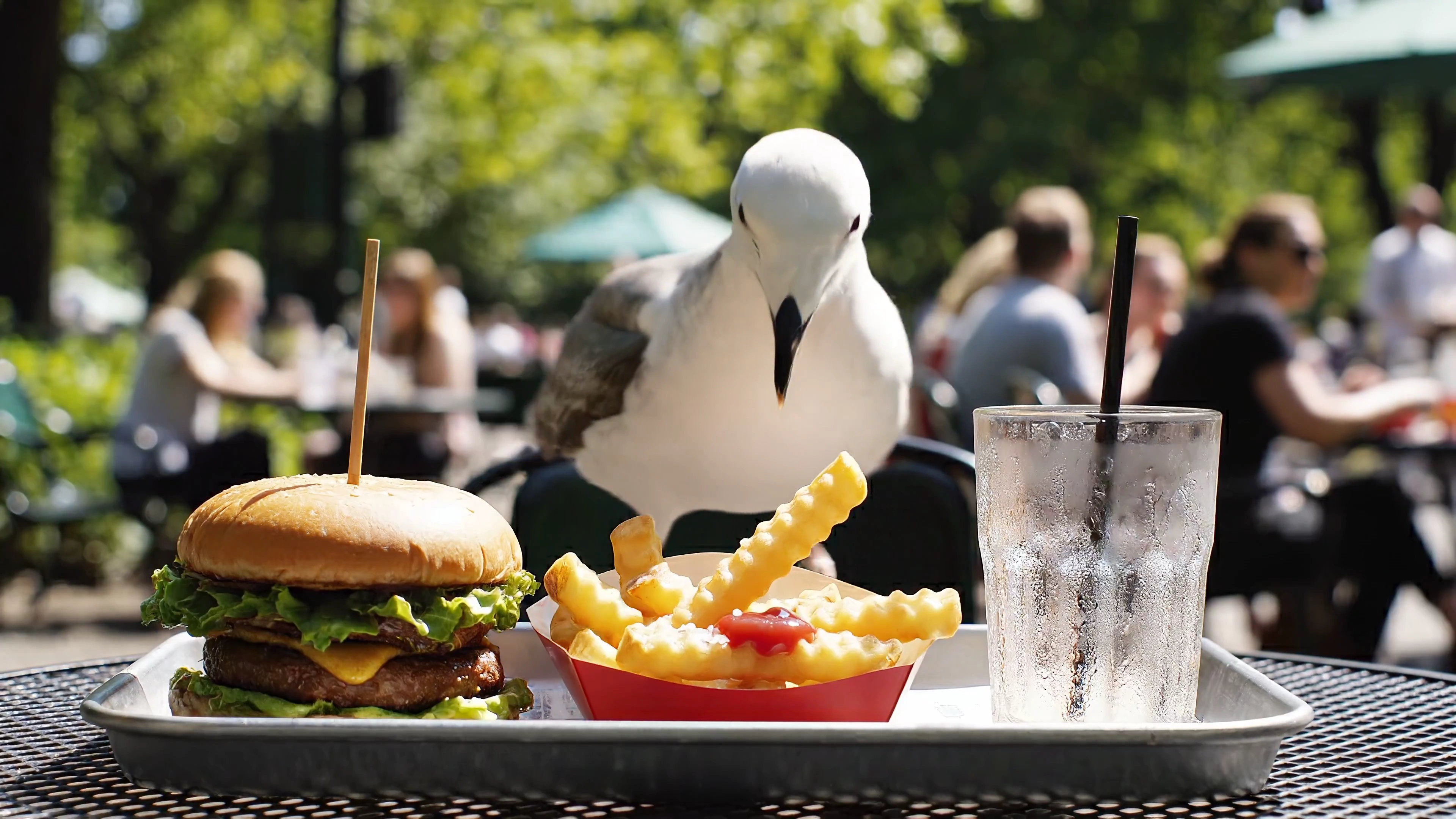 The Great French Fry Heist by a Feathered Bandit