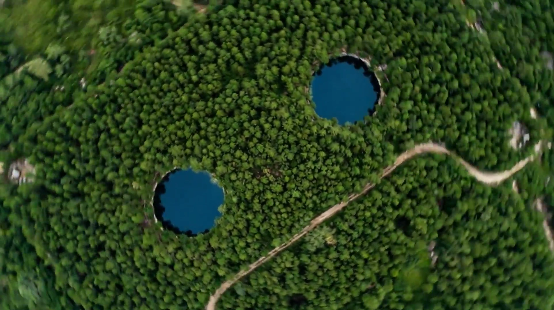 Transforming a Cassette Tape into a Forest Landscape